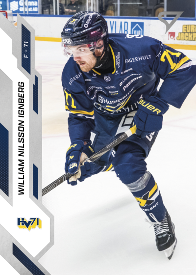 Nilsson Ingberg William 25-26 SHL #331