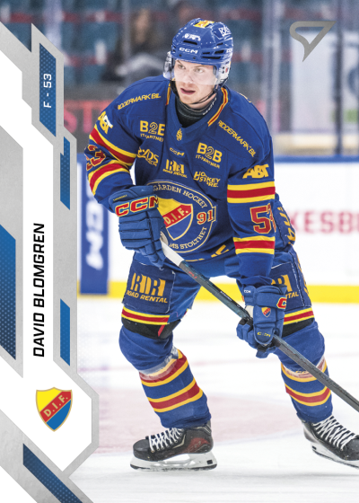 Blomgren David 25-26 SHL #339