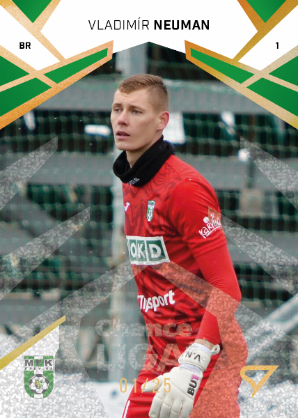 Neuman Vladimír 24-25 Chance Liga Gold #334