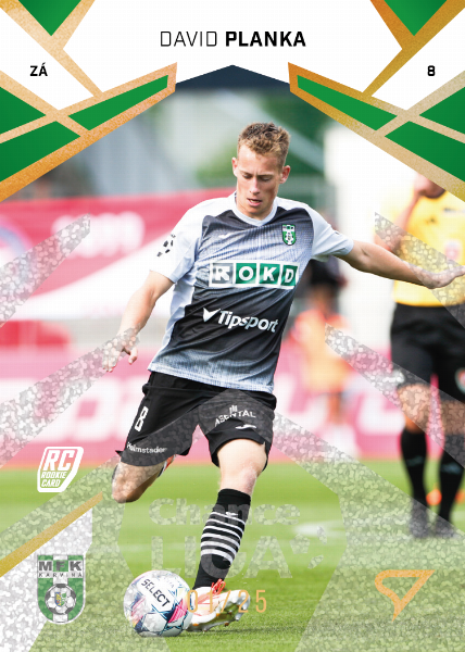 Planka David 24-25 Chance Liga Gold #339