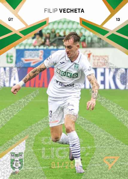 Vecheta Filip 24-25 Chance Liga Gold #343