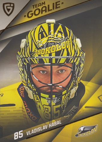 Habal Vladislav 25-26 GOAL Cards Maxa liga Team Goalie #TG-13