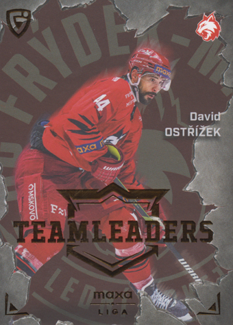 Ostřížek David 25-26 GOAL Cards Maxa liga Team Leaders #TL-26
