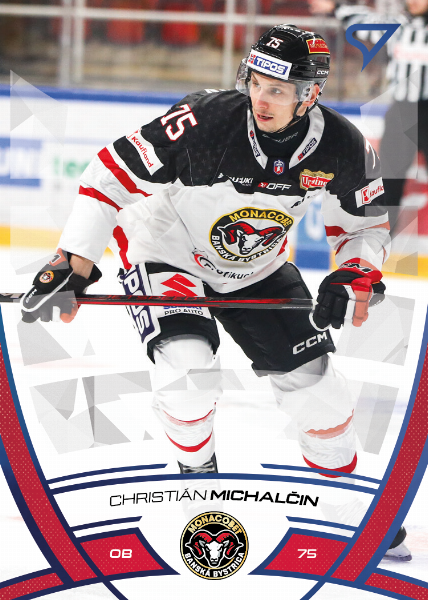 Michalčin Christián 24-25 Tipos Extraliga Blue #113