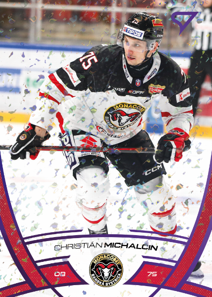 Michalčin Christián 24-25 Tipos Extraliga Purple #113