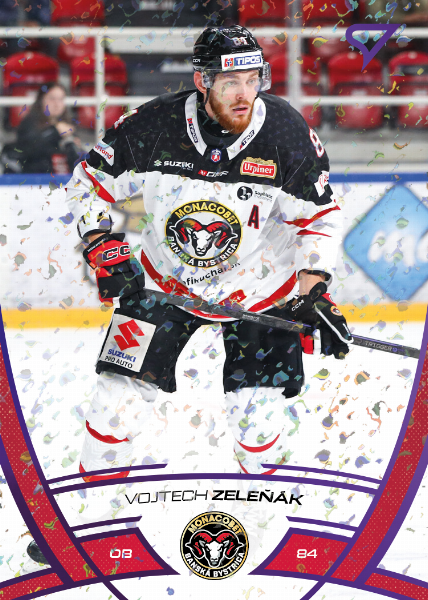 Zeleňák Vojtech 24-25 Tipos Extraliga Purple #116