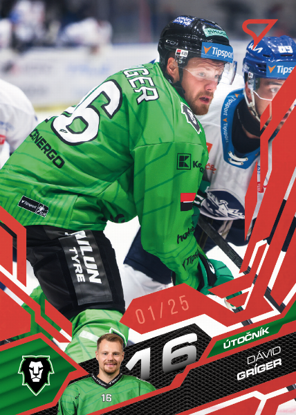 Gríger Dávid 25-26 Tipsport Extraliga Red #118