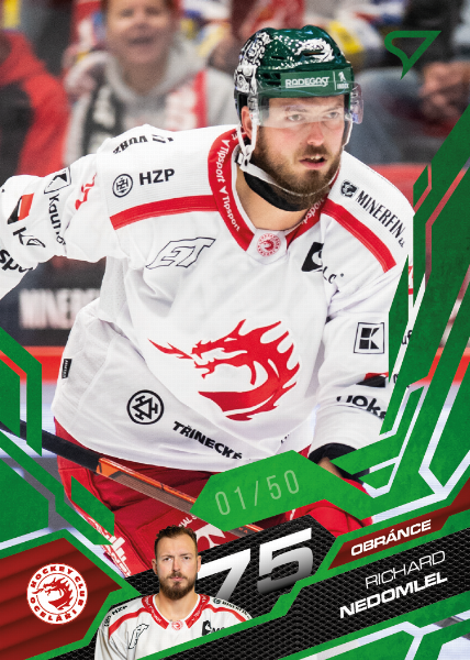 Nedomlel Richard 25-26 Tipsport Extraliga Green #133