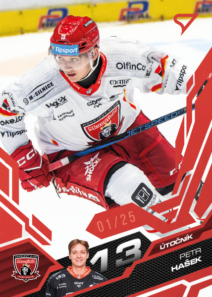 Hašek Petr 25-26 Tipsport Extraliga Red #62