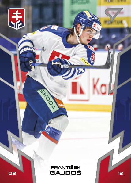 Gajdoš František 2024 Hokejové Slovensko #11