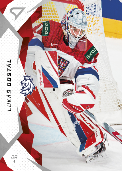 Dostál Lukáš 2025 Hokejové Česko #1