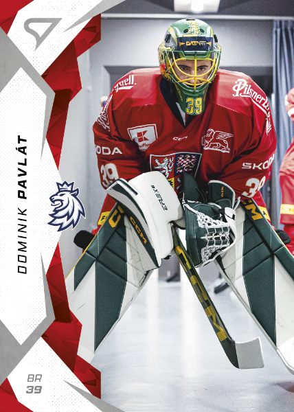 Pavlát Dominik 2025 Hokejové Česko #6