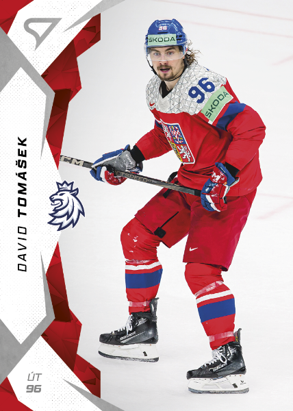 Tomášek David 2025 Hokejové Česko #59