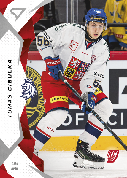 Cibulka Tomáš 2025 Hokejové Česko #9