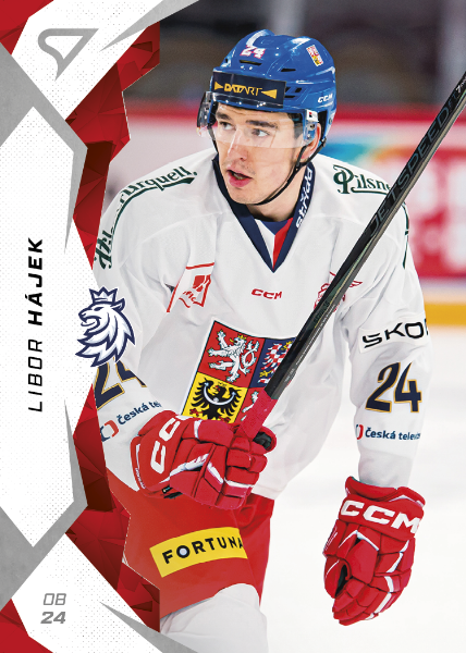 Hájek Libor 2025 Hokejové Česko #13