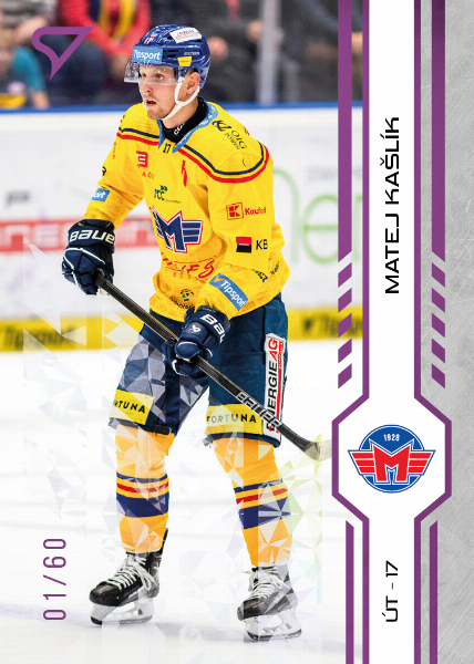 Kašlík Matej 24-25 Tipsport Extraliga Purple #101