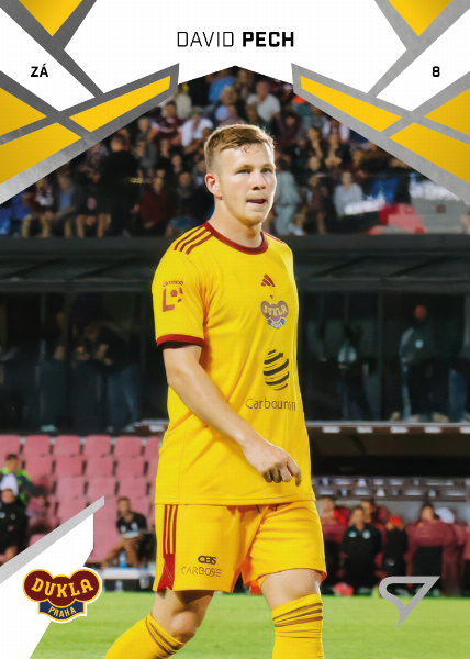 Pech David 24-25 Chance Liga #369