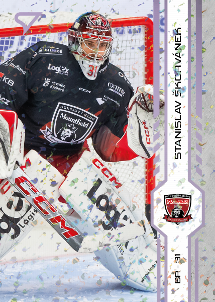 Škorvánek Stanislav 24-25 Tipsport Extraliga Violet #128