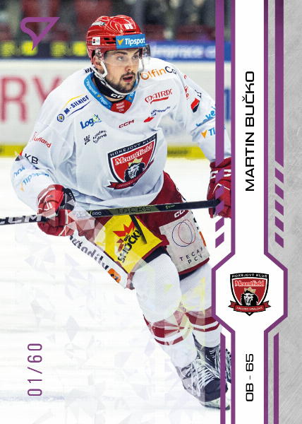 Bučko Martin 24-25 Tipsport Extraliga Purple #130