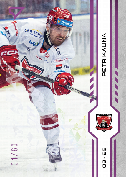 Kalina Petr 24-25 Tipsport Extraliga Purple #132