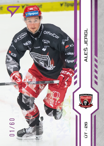 Jergl Aleš 24-25 Tipsport Extraliga Purple #139