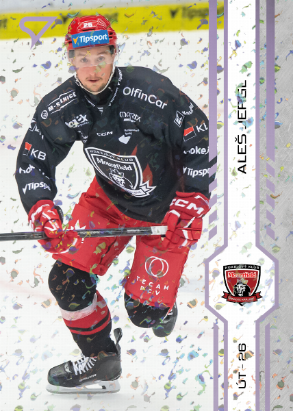 Jergl Aleš 24-25 Tipsport Extraliga Violet #139