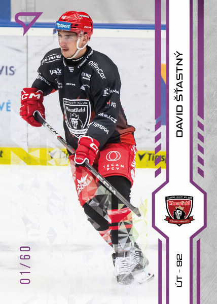 Šťastný David 24-25 Tipsport Extraliga Purple #143