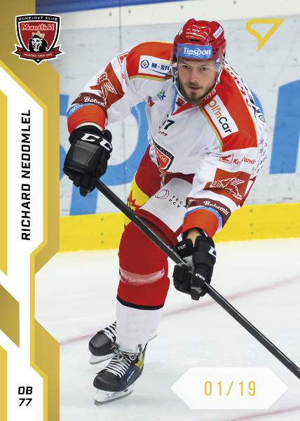 Nedomlel Richard 22-23 Tipsport Extraliga Gold #79