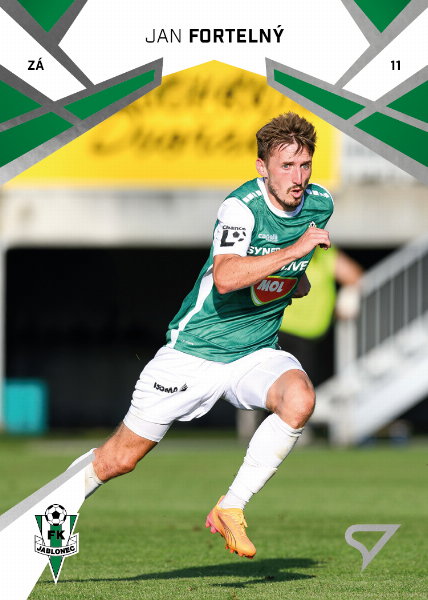 Fortelný Jan 24-25 Chance Liga #304