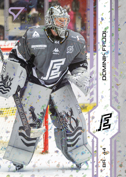 Frodl Dominik 24-25 Tipsport Extraliga Violet #181