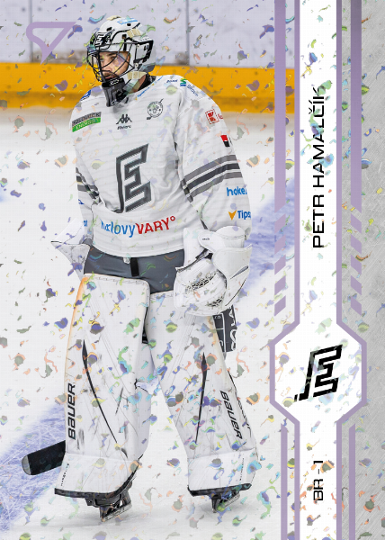 Hamalčík Petr 24-25 Tipsport Extraliga Violet #182