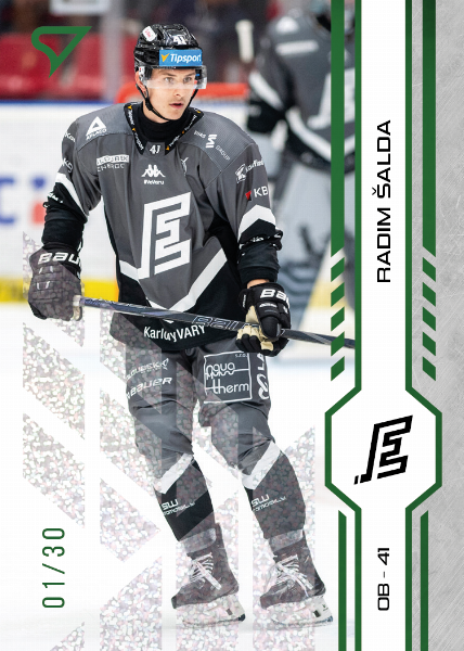 Šalda Radim 24-25 Tipsport Extraliga Green #189