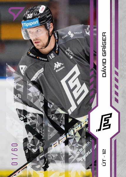 Gríger Dávid 24-25 Tipsport Extraliga Purple #192
