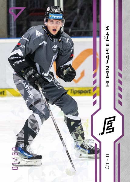 Sapoušek Robin 24-25 Tipsport Extraliga Purple #198