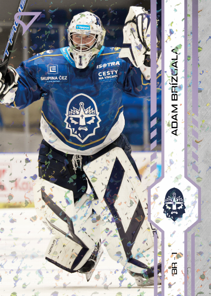 Brízgala Adam 24-25 Tipsport Extraliga Violet #235