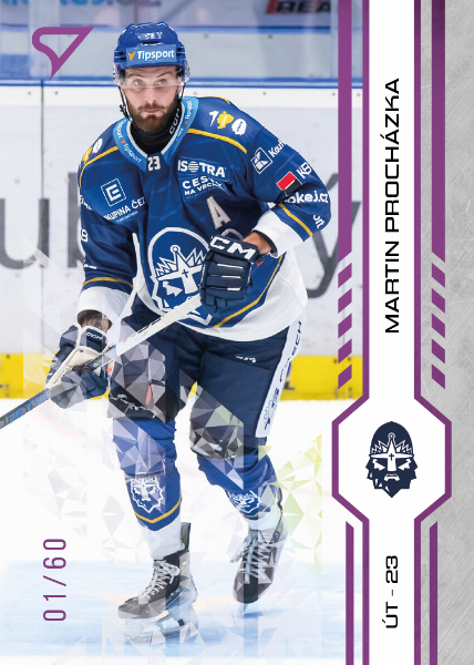 Procházka Martin 24-25 Tipsport Extraliga Purple #248