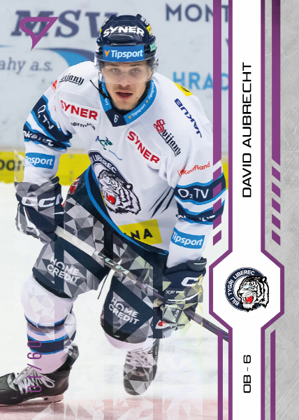 Aubrecht David 24-25 Tipsport Extraliga Purple #111