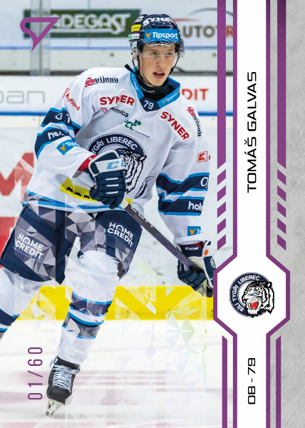 Galvas Tomáš 24-25 Tipsport Extraliga Purple #113