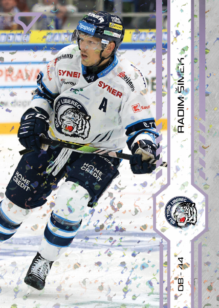 Šimek Radim 24-25 Tipsport Extraliga Violet #118