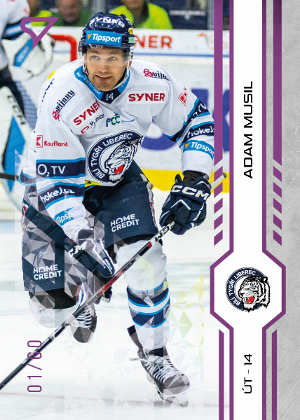 Musil Adam 24-25 Tipsport Extraliga Purple #122