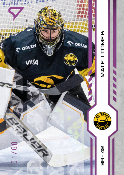 Tomek Matej 24-25 Tipsport Extraliga Purple #55