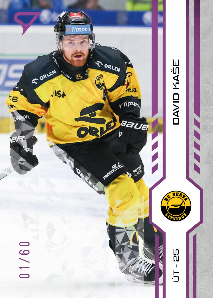 Kaše David 24-25 Tipsport Extraliga Purple #67