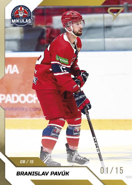 Pavúk Branislav 22-23 Tipos Extraliga Gold #318