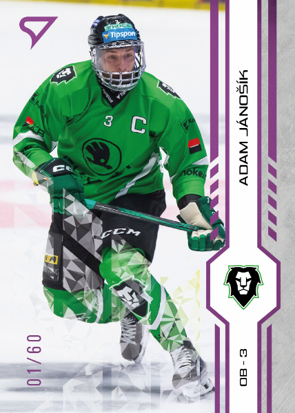 Jánošík Adam 24-25 Tipsport Extraliga Purple #221