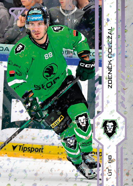 Doležal Zdeněk 24-25 Tipsport Extraliga Violet #228