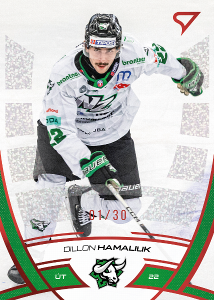 Hamaliuk Dillon 24-25 Tipos Extraliga Red #192
