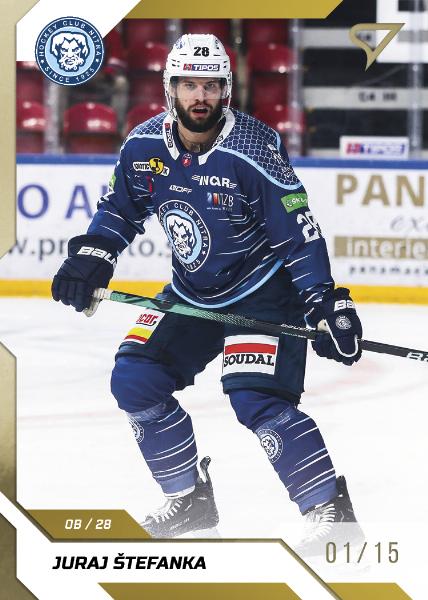 Štefanka Juraj 22-23 Tipos Extraliga Gold #226