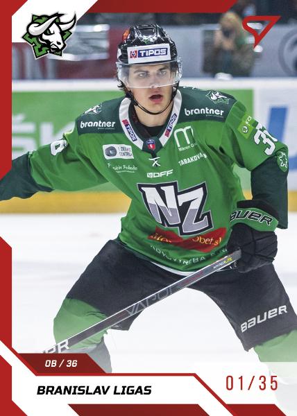 Ligas Branislav 22-23 Tipos Extraliga Red #187