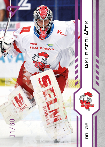 Sedláček Jakub 24-25 Tipsport Extraliga Purple #164