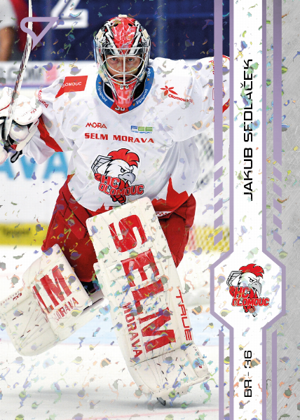 Sedláček Jakub 24-25 Tipsport Extraliga Violet #164